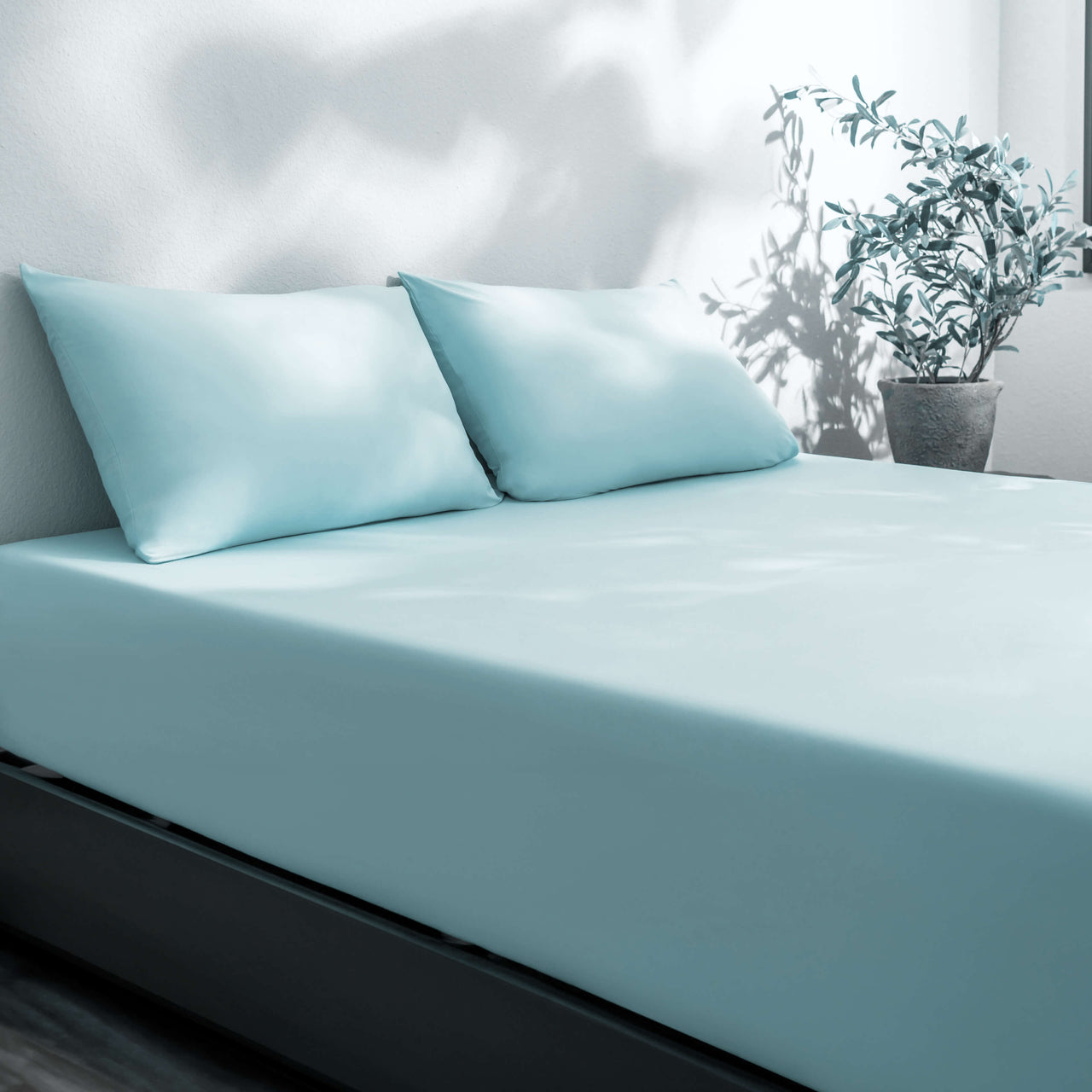 Aqua Blue