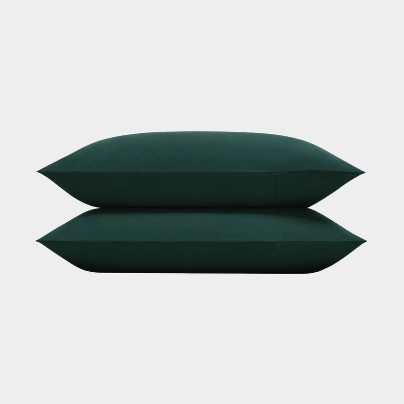 Nordic Green