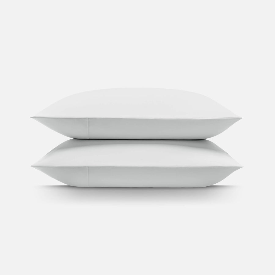 Arctic White