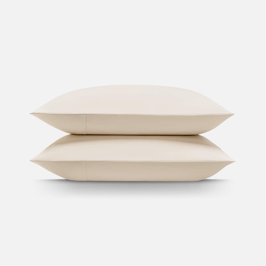 Snow Ivory