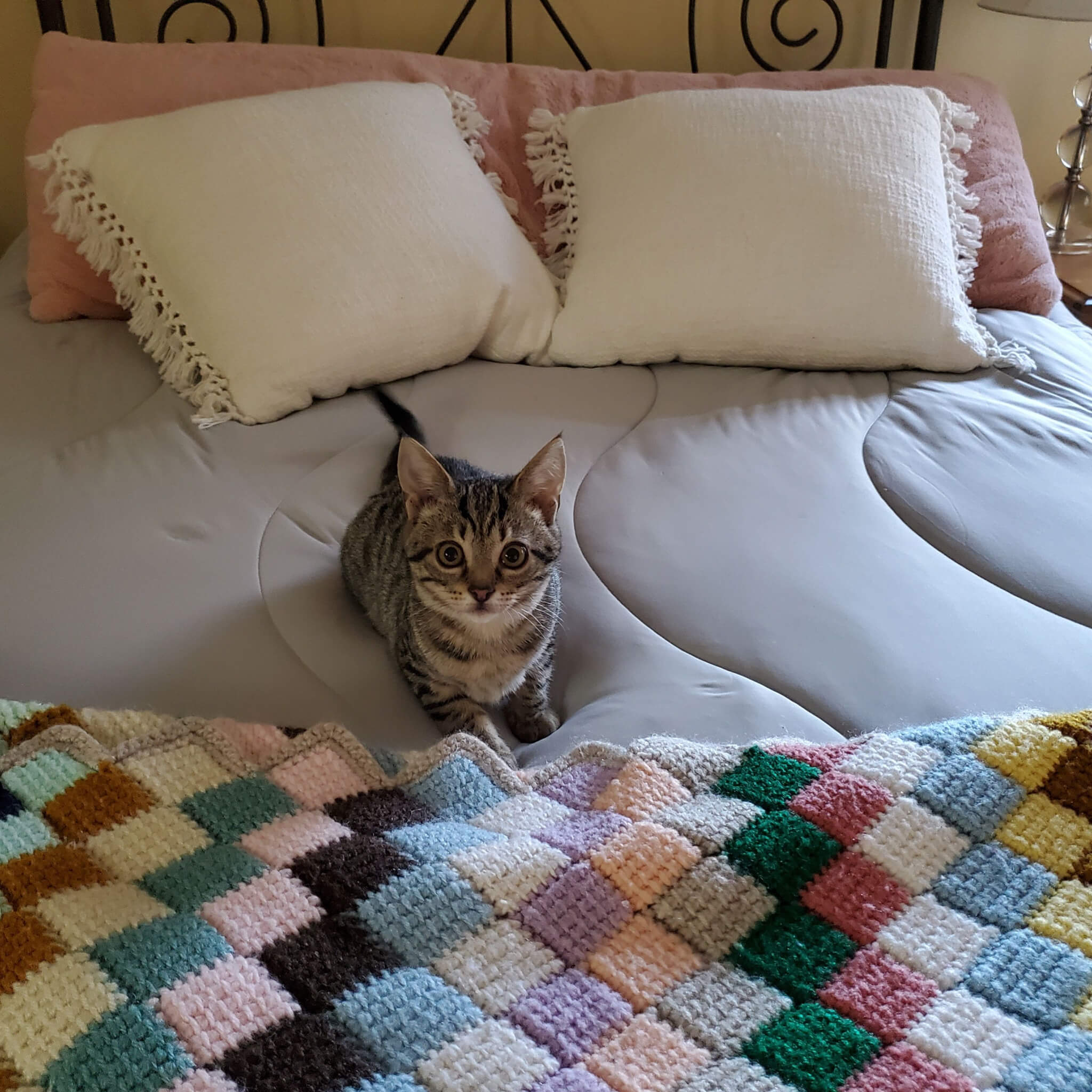 pillowcases Product Reviews